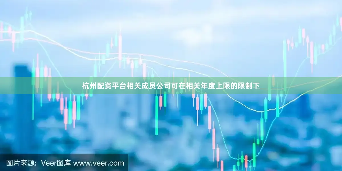 杭州配资平台相关成员公司可在相关年度上限的限制下