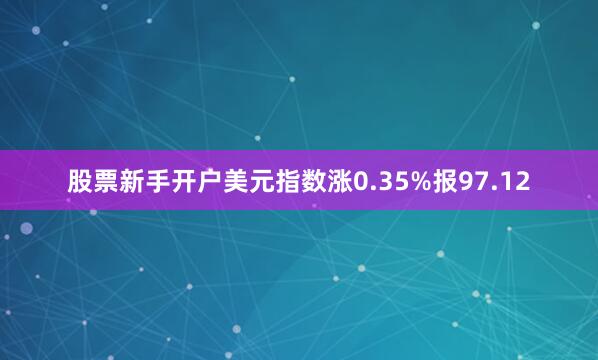 股票新手开户美元指数涨0.35%报97.12